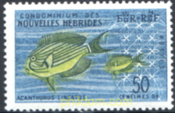 FLORA Y FAUNA