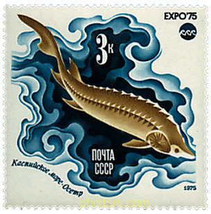 EXPO 75. EXPOSICION UNIVERSAL DE OKINAWA