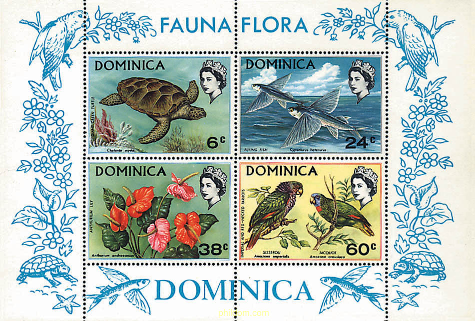 FAUNA Y FLORA