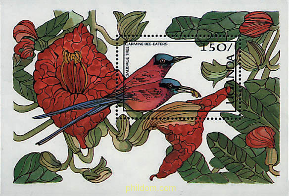 FAUNA Y FLORA