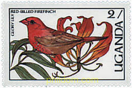 FAUNA Y FLORA