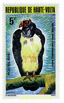PROTECCION DE LA NATURALEZA