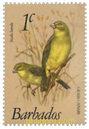 FAUNA. AVES