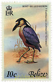 PAJAROS DE BELIZE