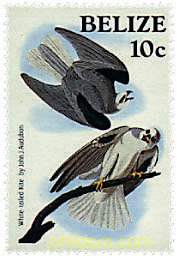 BICENTENARIO DEL NACIMIENTO DEL ORNITOLOGO J.J. AUDUBON
