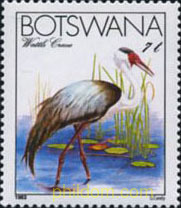 FAUNA Y FLORA