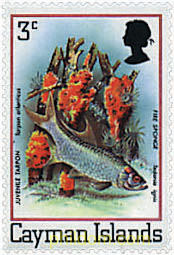 FLORA Y FAUNA DE LAS ISLAS CAIMAN