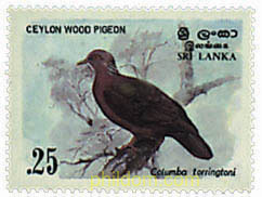 AVES