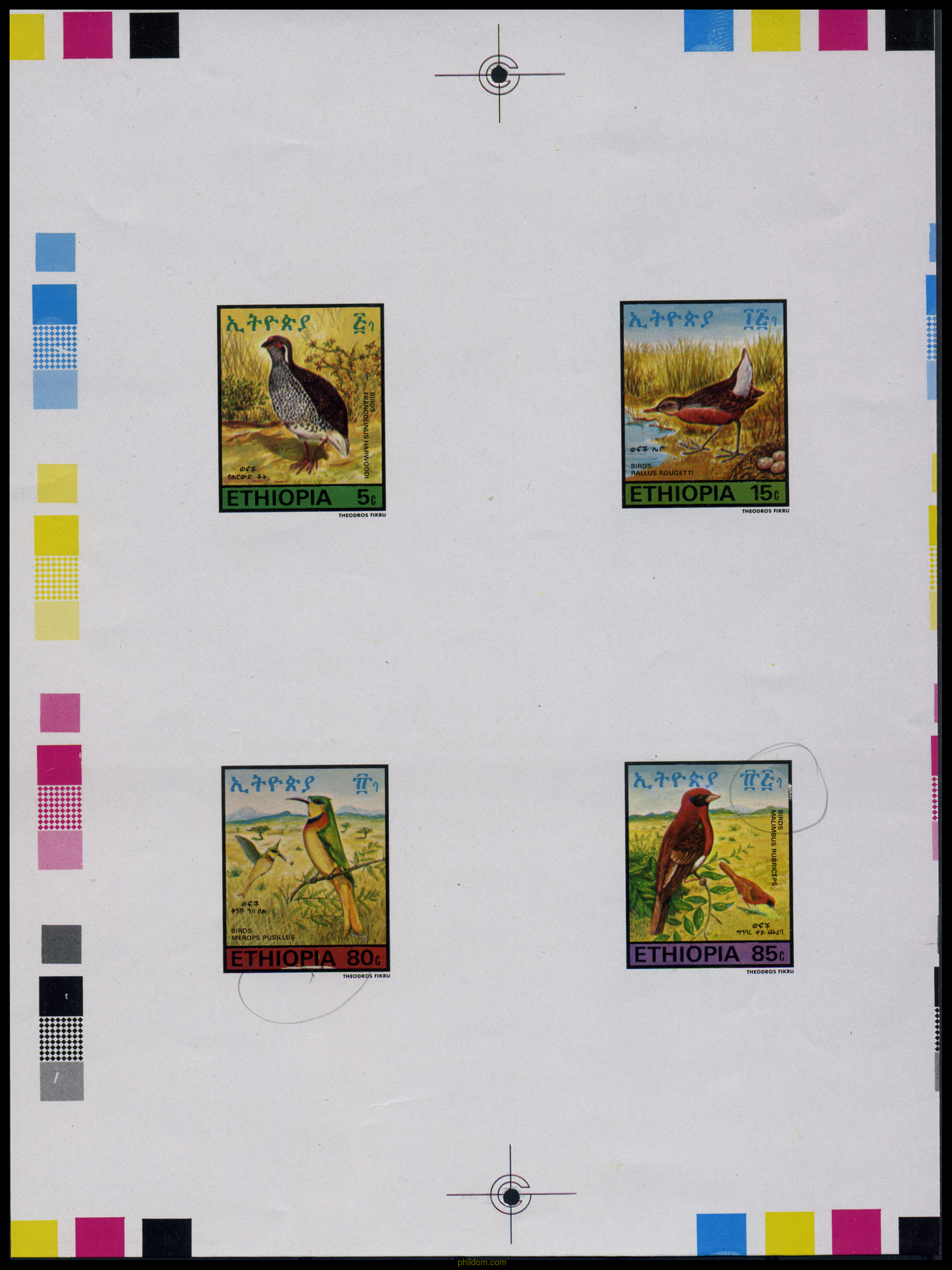 AVES