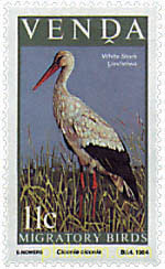 AVES