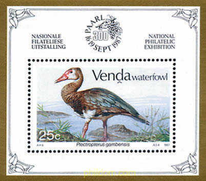 AVES ACUATICAS
