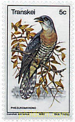 AVES