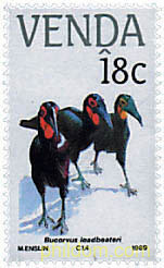 AVES EN PELIGRO