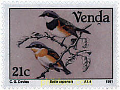 AVES
