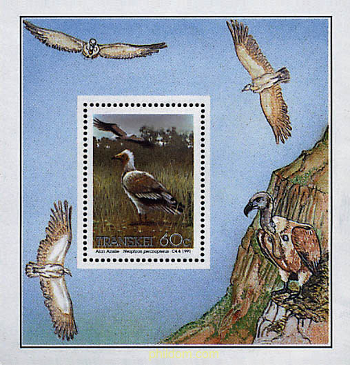 AVES PROTEGIDAS