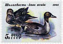 PATOS