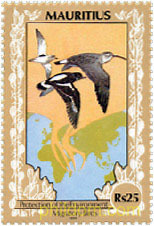 PROTECCION DEL MEDIO AMBIENTE