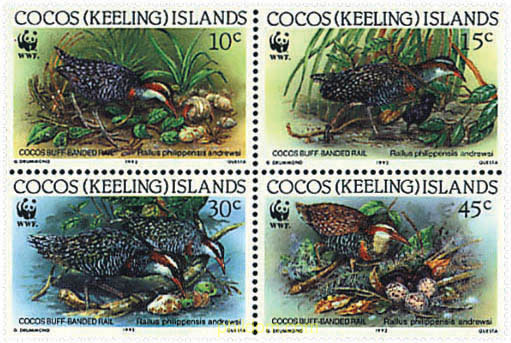 RASCON FRANJEADO DE COCOS