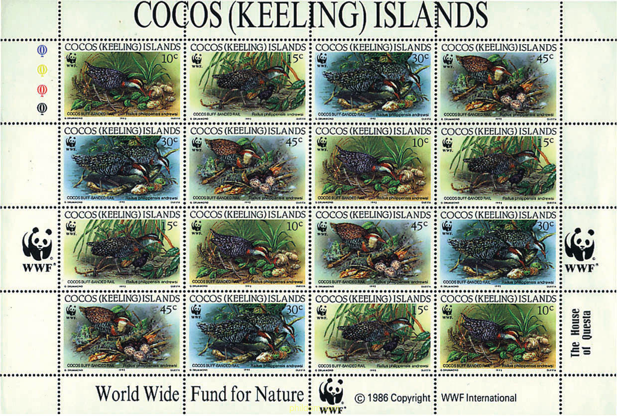 RASCON FRANJEADO DE COCOS
