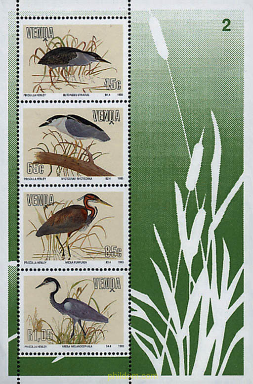 AVES ACUATICAS