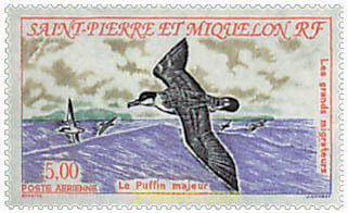 AVES MIGRATORIAS