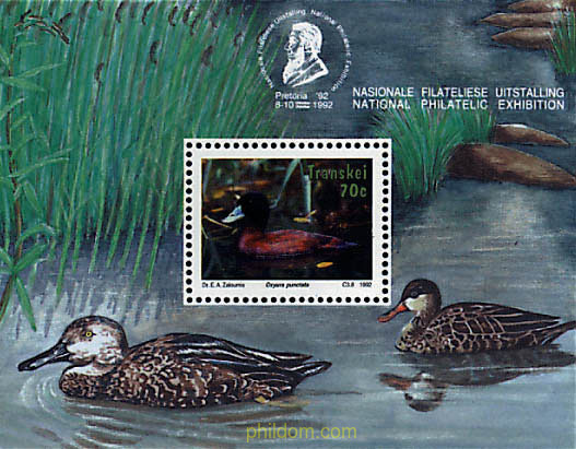 AVES ACUATICAS
