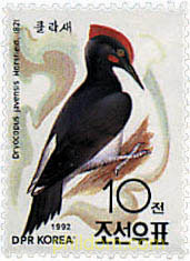 AVES