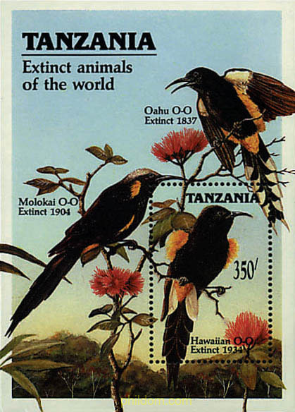 ANIMALES DESAPARECIDOS