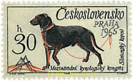 CONGRESO Y EXPOSICION CANINA INTERNACIONAL