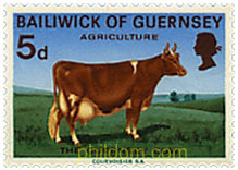 AGRICULTURA Y HORTICULTURA