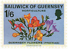 AGRICULTURA Y HORTICULTURA