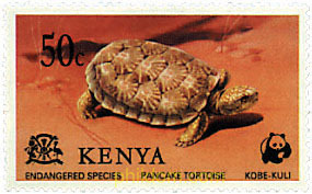 FAUNA EN PELIGRO DE EXTINCION
