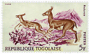 FAUNA