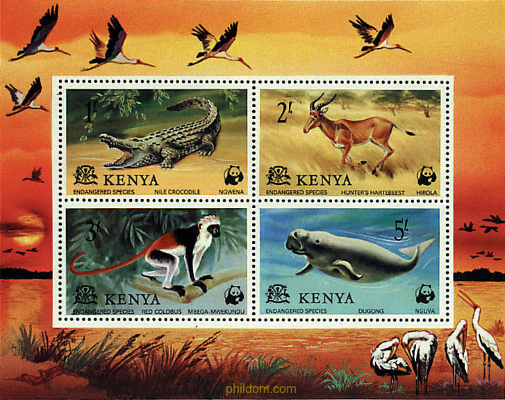 FAUNA EN PELIGRO DE EXTINCION