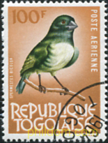 FAUNA Y FLORA