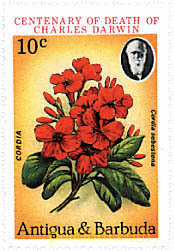 CENTENARIO DE LA MUERTE DE CHARLES DARWIN