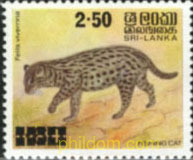 MAMIFEROS