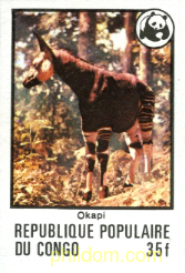 FAUNA EN PELIGRO DE EXTINCION