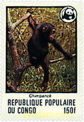 FAUNA EN PELIGRO DE EXTINCION
