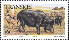 FAUNA DOMESTICA