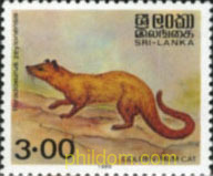 MAMIFEROS