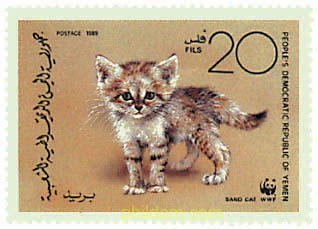 GATO ARENA, FENEC