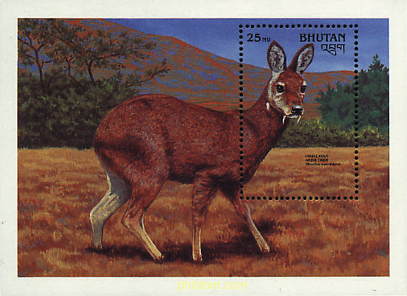 PROTECCION DE LA FAUNA