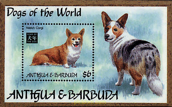 PERROS DE RAZA