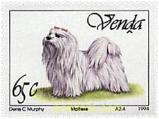 PERROS DE RAZA