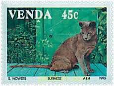 GATOS DOMESTICOS