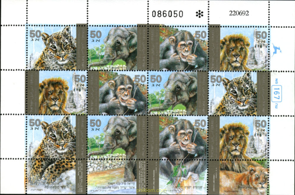 MAMIFEROS DEL ZOO