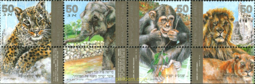 MAMIFEROS DEL ZOO