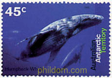 CETACEOS