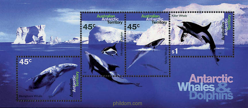 CETACEOS